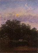 Carl Gustav Carus Blooming Elderberry Hedge in the Moonlight oil painting picture wholesale